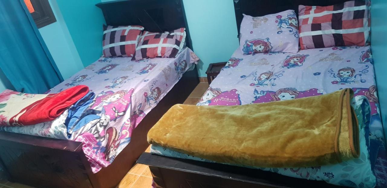 Mody Appartment At 알렉산드리아 외부 사진