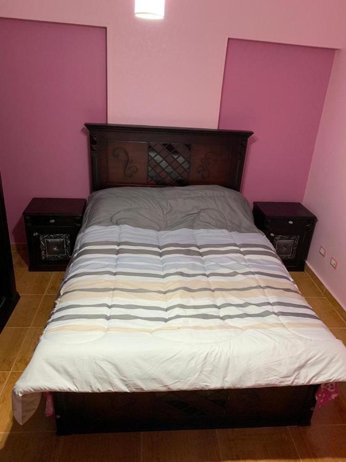 Mody Appartment At 알렉산드리아 외부 사진